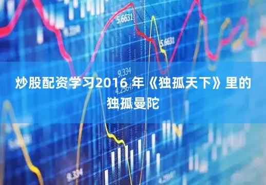炒股配资学习2016 年《独孤天下》里的独孤曼陀